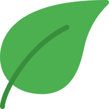 AnkiDecks Coupons and Promo Code