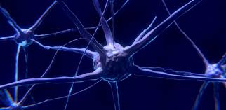 • mortality costs represent the dollar value of production lost due to premature death caused by the alzheimer's disease als brain tumours cerebral palsy epilepsy head injury headache multiple. Mechanism Behind Neuron Death In Motor Neurone Disease And Frontotemporal Dementia Discovered University Of Cambridge