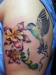 Kolibri tattoos können in mehrere verschiedene stile und variationen gestaltet werden. Suchergebnisse Fur Kolibri Tattoos Tattoo Bewertung De Lass Deine Tattoos Bewerten