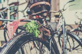 Default sorting sort by popularity sort by average rating sort by latest sort by price: Best Electric Bike Accessories Look Good And Stay Safe How To Ebike