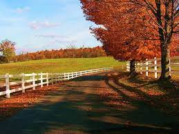 Beautiful Autumn Season Wallpapers All Hd Wallpapers Autumn Landscape Autumn Scenes Landscape Pictures
