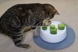 Maybe you would like to learn more about one of these? 17 Puzzles On Amazon That Actually Challenge Cats
