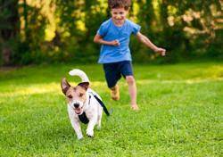 We use safe and effective chemicals that are specific to the infestation we're treating, whether it is in your call for pest control services in plant city, tampa, and surrounding fl areas. Safe Pest Prevention With Kids And Pets Mccall Service