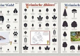 Freie kommerzielle nutzung keine namensnennung top qualität. Im Schnee Tierspuren Zum Ausdrucken Kostenlos Pin Auf Weihnachten Athiraadzis Wall
