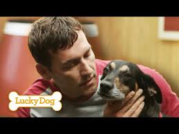 Training a Dog to Stop Jumping