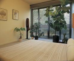 Here are simple strategies for you to arrange a good feng the bedroom shall have a window for ventilation, which can make you refreshed in the daytime; 13 Top Feng Shui Plants Feng Shui For Modern Living