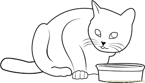 Hochwertige outdoor bekleidung für dein outdoor abenteuer! Cat Doesn T Like This Food Coloring Page For Kids Free Cat Printable Coloring Pages Online For Kids Coloringpages101 Com Coloring Pages For Kids