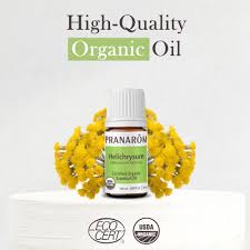 Image result for Helichrysum helvolum