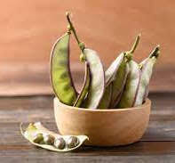 Image result for Dolichos trinervatus