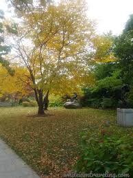 Quickest way to get there cheapest option distance between detroit to toledo by bus the bus journey time between detroit and toledo is around 1h 16m and covers a distance of around 59 miles. One Day In Toledo Ohio While I Am Traveling