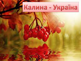 Збирали легенди про калину, прислів'я, приказки, казки, аналізували деякі пісні, щоб з'ясувати, що ж символізує. Prezentaciya Kalina Ukrayina