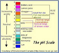 Aquarium Chemistry Calcium Kh Gh Ph Electrolytes