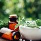 Native American Plant Medicine Class event image