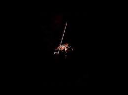 Check spelling or type a new query. Violin Trap Lagu Mp3 Mp3 Dragon