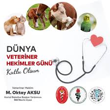 Yağmur çamur demeden çalışan veteriner hekimlerimiz her zaman bir teşekkürü hak ediyorlar. M Oktay Aksu Dunya Veteriner Hekimler Gunu Her Yil Facebook