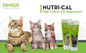 If your cat is eating some food then follow the supplement instructions. Amazon Com Tomlyn High Calorie Nutritional Gel For Cats Nutri Cal 4 25 Oz Pet Multivitamins Pet Supplies