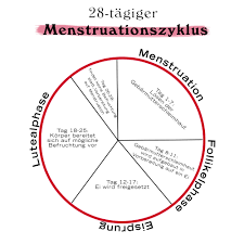 Was Deine Periode Uber Deine Gesundheit Aussagen Kann