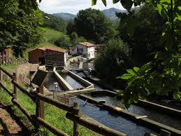 La Ferme Aquacole De Banka C Est D Abord Un Cadre Magnifique Et Sauvage Niche Au Coeur Du Pays Basque Des Le Xviieme Siecle La So Pays Basque Pays Touriste
