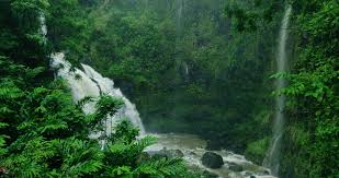 Hana maui waterfalls road hawaii luxury nature circle lunch tours tripadvisor stardust tour attractions guide island cultural wildlife. Amazing Waterfall In Tropical Rain Forest On The Road To Hana In Maui Hawaii 1303832 Stock Video At Vecteezy