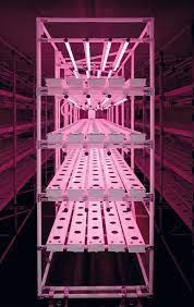 Modular Racking And Gullys Used Inside Hydrogarden S Vertical Farming System Project Urban Grow Project Urban Hydroponic Farming Vertical Farming Hydroponics