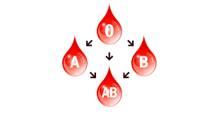 Take a look at drlam.com and enter blood type diets in search bar. The Blood Group Diet Review Weight Loss Resources
