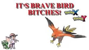 Talonflame It S Brave Bird Bitches Youtube