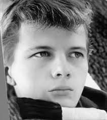 Just finished watching the complete series again, and 20 is the number!! 20  times Willie was sent to the corner..lol 26 times, if you include the 6  times it was mentioned that