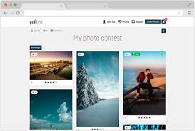 Create customizable plugins with no code required. Vote On Images And Prioritize Them With Pollunit