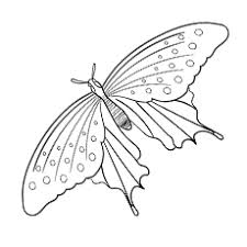 Students can color a picture of a monarch butterfly. Top 50 Free Printable Butterfly Coloring Pages Online