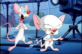 With rob paulsen, maurice lamarche, tress macneille, frank welker. Pinky And The Brain Fan Theories Wiki Fandom