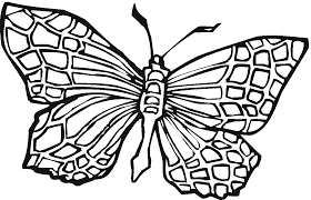 The little ones are free to fill in the butterfly image as they wish and can even draw the wing pattern with imaginative details. Free Printable Butterfly Coloring Pages For Kids