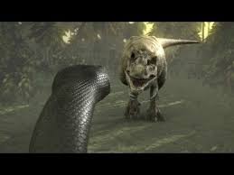 Titanoboa is known from several fossils that have been dated to 58 million to 60 million years ago. Titanoboa Monster Snake Titanoboa Vs T Rex Youtube