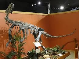 Check spelling or type a new query. Iguanodontia Wikiwand