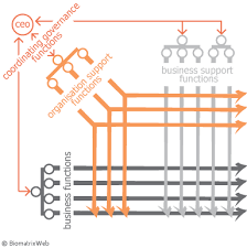 The Three Dimensional Organisational Structure Of Biomatrix