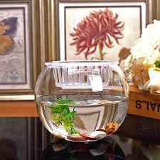 This is something we have seen for a very goldfish are intelligent fish that benefit from good décor, containing hiding places and aerated stones. Stylish Transparent Glass Fish Tank Ball Vase Goldfish Tank Living Room Flower Decoration Hydroponic Flower Ornaments