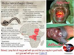 This is because the clotting problems lead to internal bleeding, as blood leaks from small blood vessels in your body. Ebola Virus Liberal Dictionary
