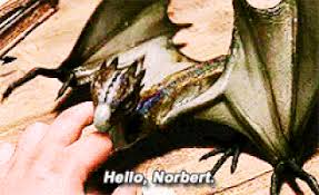 When it hatched, hagrid named it norbert and had help raising the creature from harry, ron, and hermione. Day 4 Of Harry Potter Challenge Spoilers For Ootp Harry Potter Amino