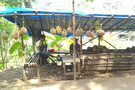 Pasar hewan loji karawang seperti biasa selalu menawarkan domba dan kambing dengan harga murah.domba. Durian Loji Primadona Karawang Yang Berpotensi Jadi Agrowisata Halaman All Kompas Com