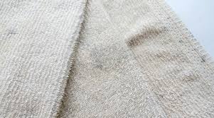 How To Remove Mildew Mold Spots From Clothes Sew Guide