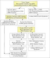 Standards that describe risk of developing hereditary nonpolyposis colon cancer. Amsterdam Criteria An Overview Sciencedirect Topics