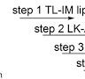Synthesis of Modified Poly(vinyl Alcohol)s and Their ...