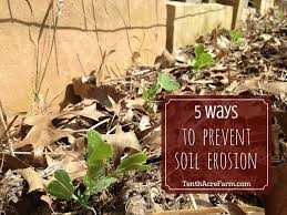 Using plants to prevent soil erosion is a form of economic botany, meaning the use of plants to make (or save) money. How To Prevent Soil Erosion In Gardens And On Farms Soil Erosion Permaculture Gardening Soil
