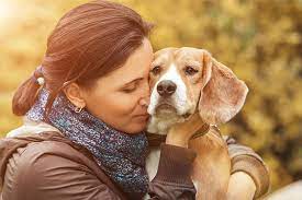 Here is what you should know about bone. What To Do If Your Dog Has Cancer American Kennel Club