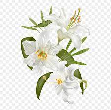 Pin By Sinara Rodrigues On Convite Lily Flower Watercolor Pattern Background Lily Plants