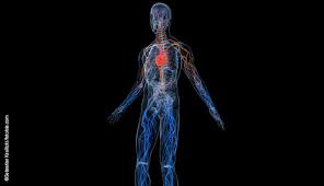 Leitlinien Zur Diagnostik Und Therapie Der Anca Assoziierten Vaskulitiden Euroimmunblog