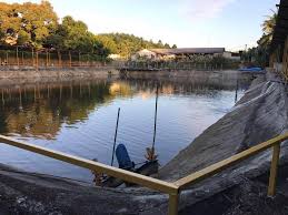 Related posts to kolam pancing air tawar kedah. Kolam Salak Tinggi Home Facebook