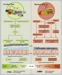 The Impact Of Dietary Fiber On Gut Microbiota In Host Health And Disease Cell Host Microbe