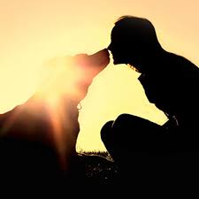 Preparing to say goodbye while your pet is still with you can help with the mourning process. Pet Loss Grief Support With Animal Communication Provides Healing