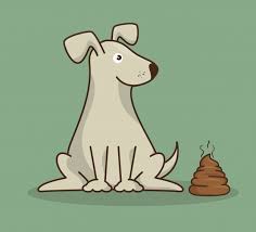 Reinigungsmittel & pflegemittel kaufen und bestellen reinigung finden sie online und in ihrem obi markt vor ort jetzt bei obi online shoppen! Hundehaufen Kostenlose Icon