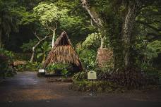 Waimea Valley - Lā Ho'iho'i Ea